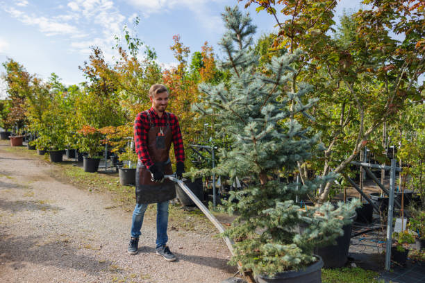 Lawn Watering Services in North Oaks, MN