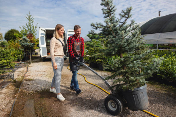 Trusted North Oaks, MN Tree Removal Experts